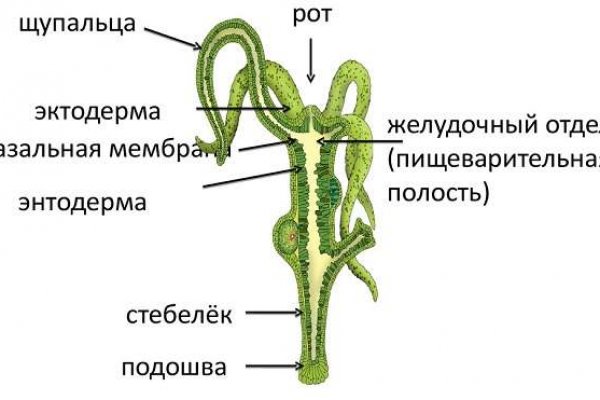 Кракен маркет плей