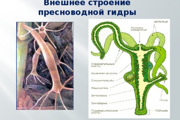 Запрещенный сайт кракен