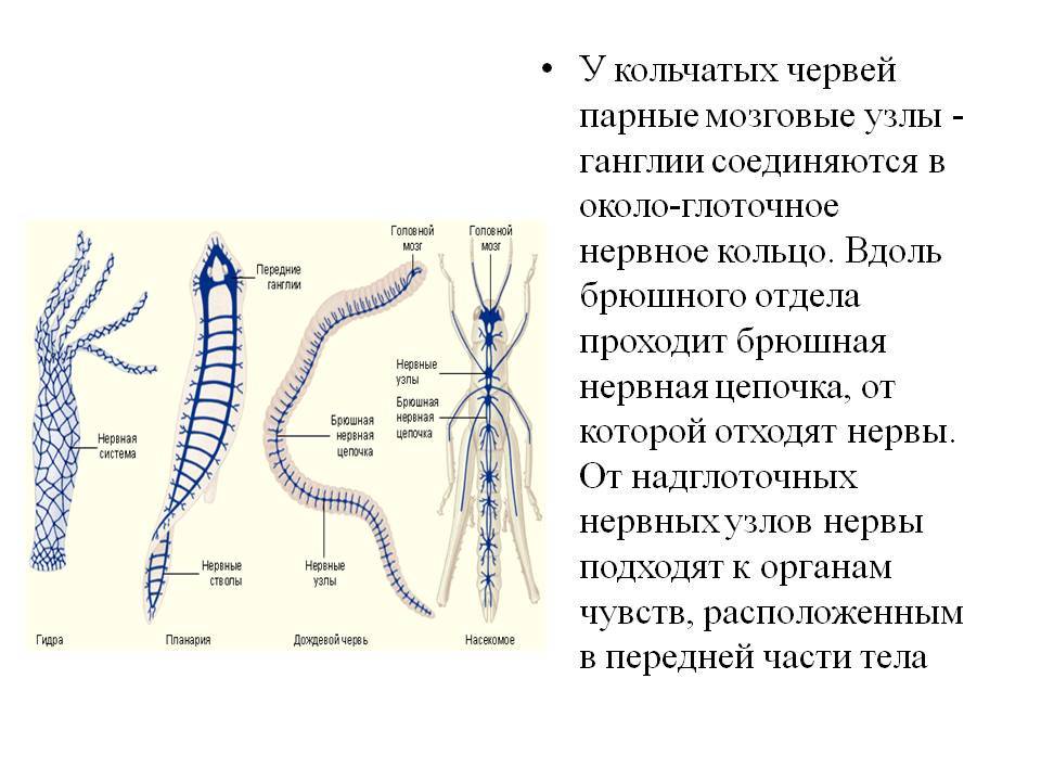 Маркет плей кракен